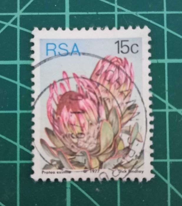 SELOS - ÁFRICA DO SUL 1 - 1977 - Flora - Plantas Protea