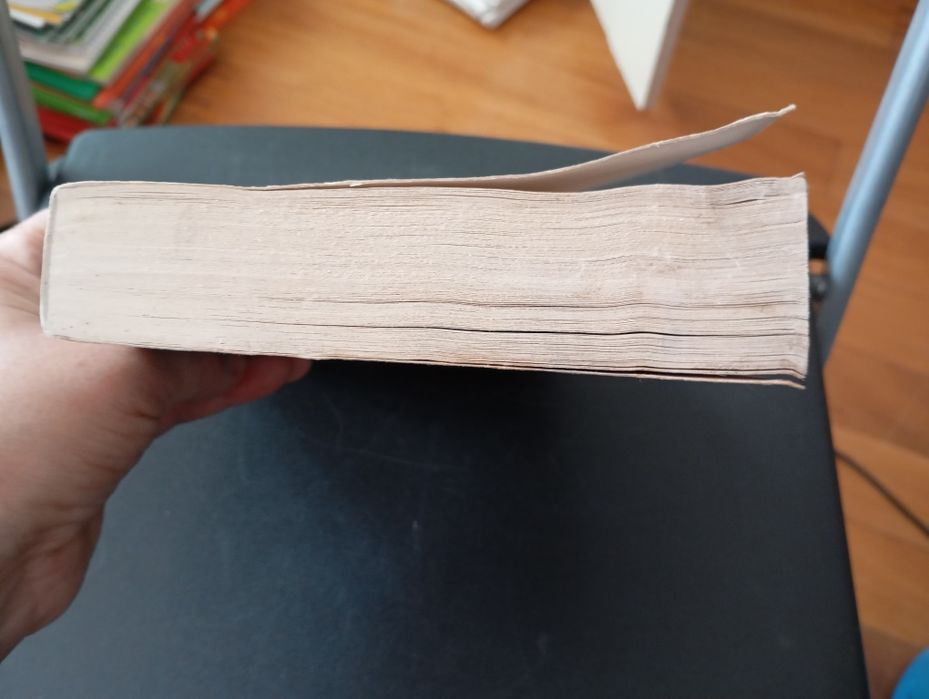 Livro " O sentimento de si"