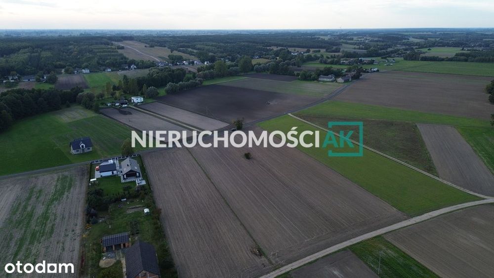 Rosocha gm. Golina | 4 działki na sprzedaż | 60zł/m² - Widok 4