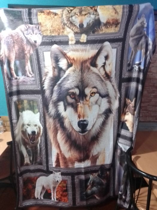 Husky siberiano cobertor