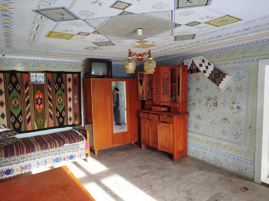 Будинок в Карпатах