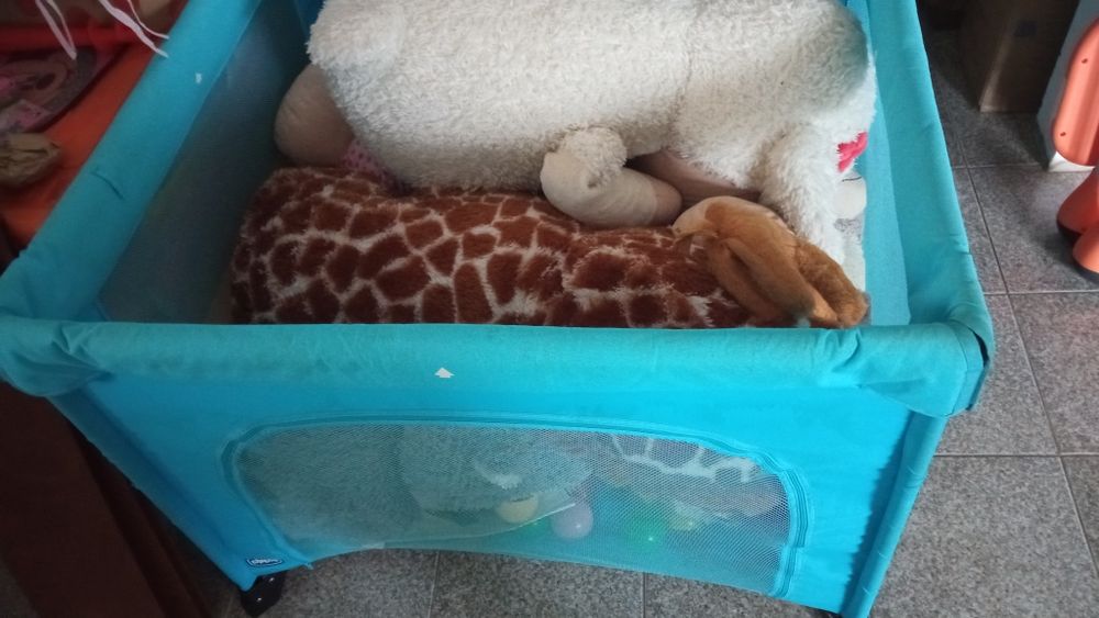 Parque de criança da Chicco