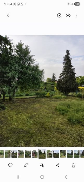 Ogród działkowy ekologiczny 375m Białystok - Widok 4