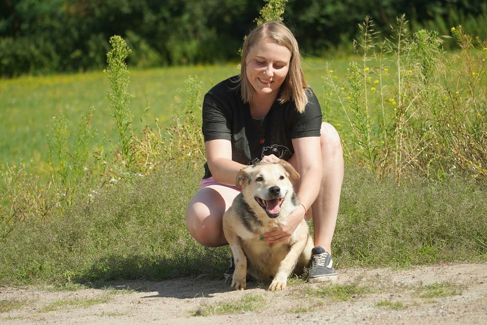 WINSTON - cudowny psi senior czeka na dom