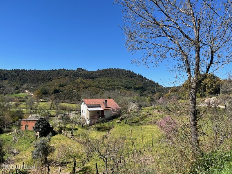 Quintinha isolada com 9945m2 acesso ao Rio Cavalos!