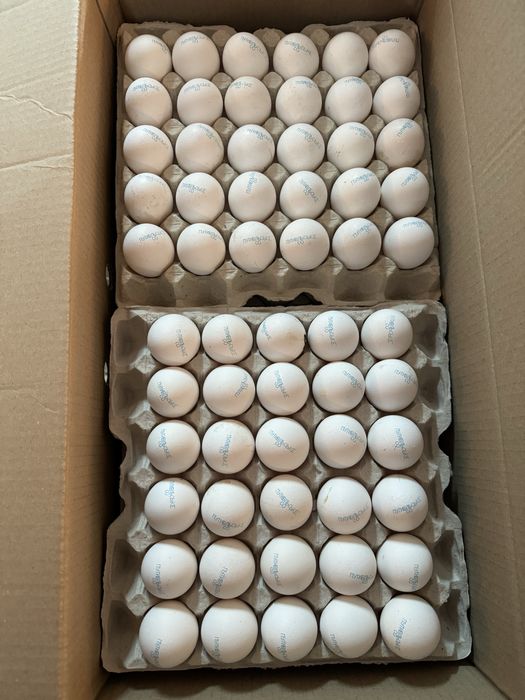 Продам яйцо куриное/перпелиное