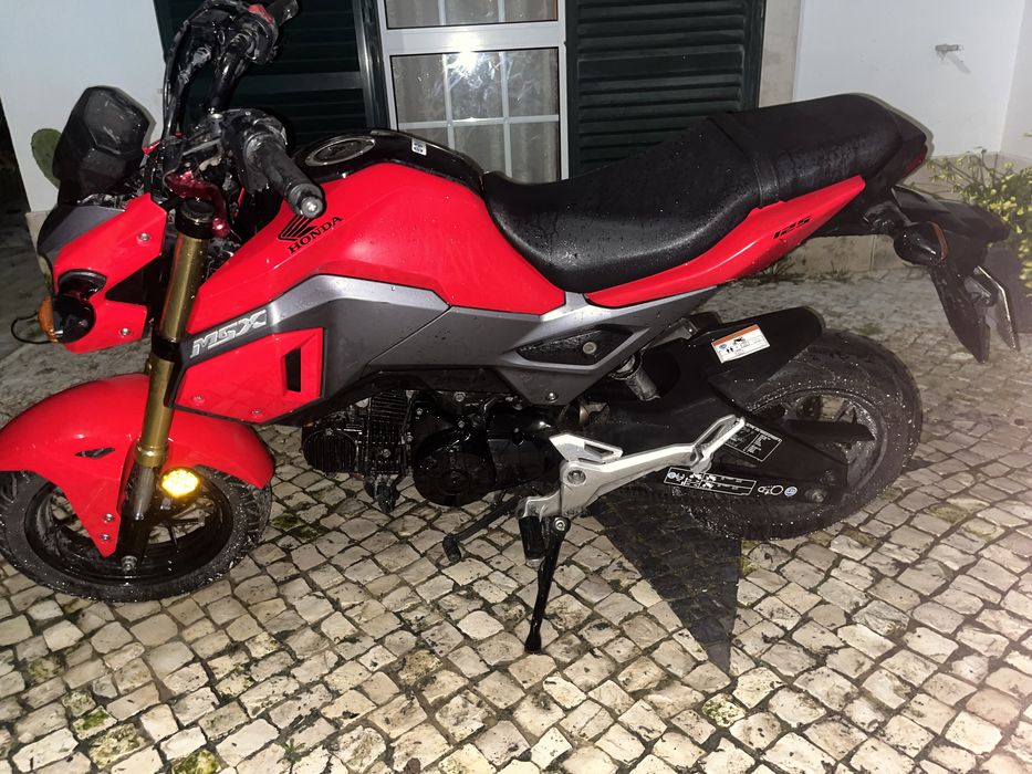 Honda msx 125 (honda grom)