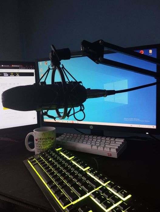 Mikrofon MAD DOG Pro GMC302