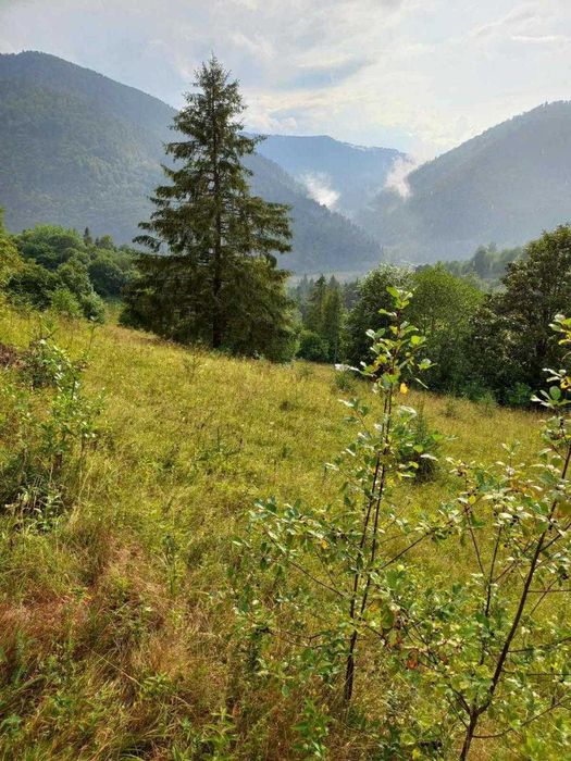 Продаж земельної ділянки, 64.05 сот, Тухля