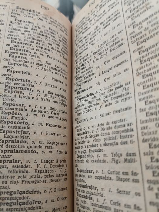Novissimo Dicionário da Lingua Portuguesa, do Prof B .A. Ligorne