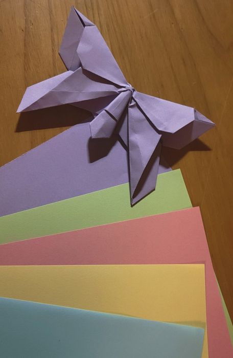 Decoração em Papel - Origami - Farfalla (Borboleta )