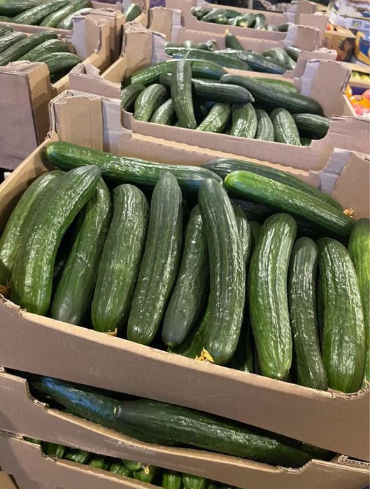 Огурец свежий, Огірок свіжий