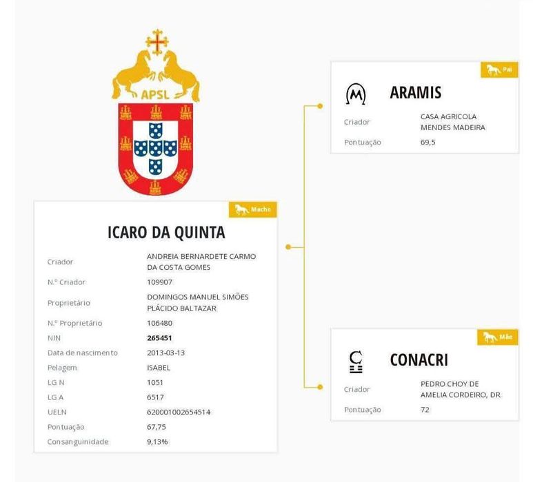 Poldros Isabel PSL Lusitano