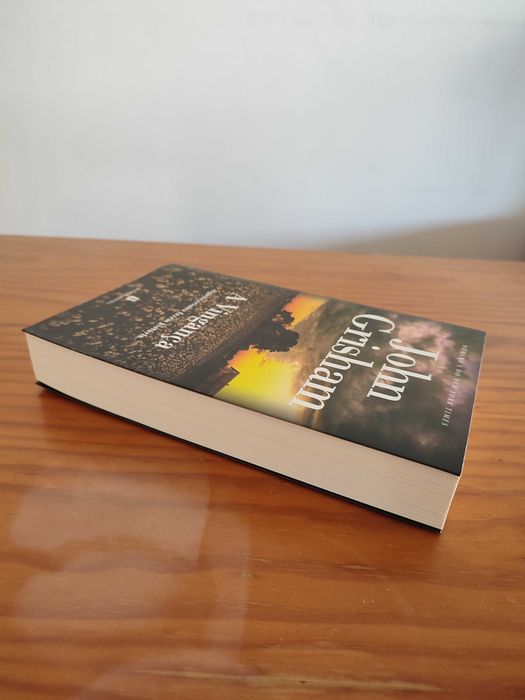 John Grisham - A Vingança