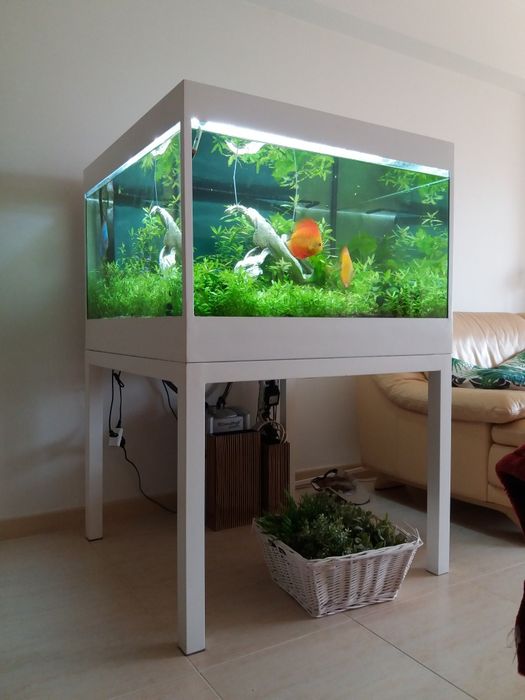 Aquario com discos