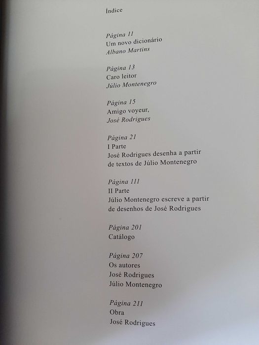 José Rodrigues, Júlio Montenegro – Exercícios de Delicada Intimidade