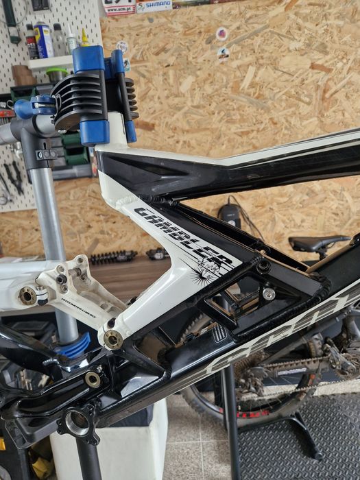 Quadro scott gambler