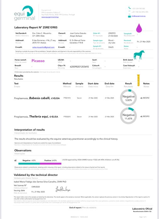 Cavalo Puro Lusitano