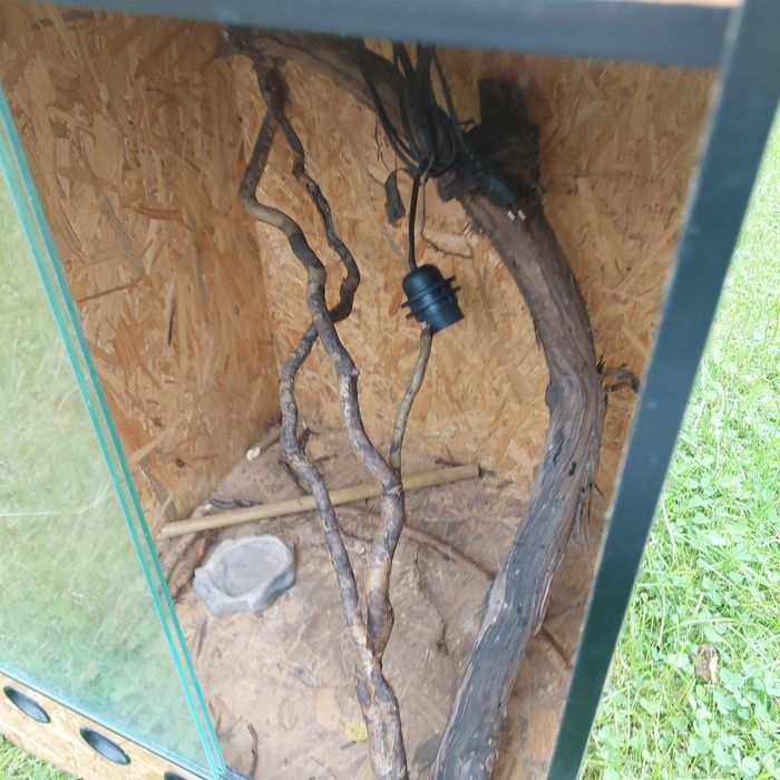 Sprzedam duże terarium