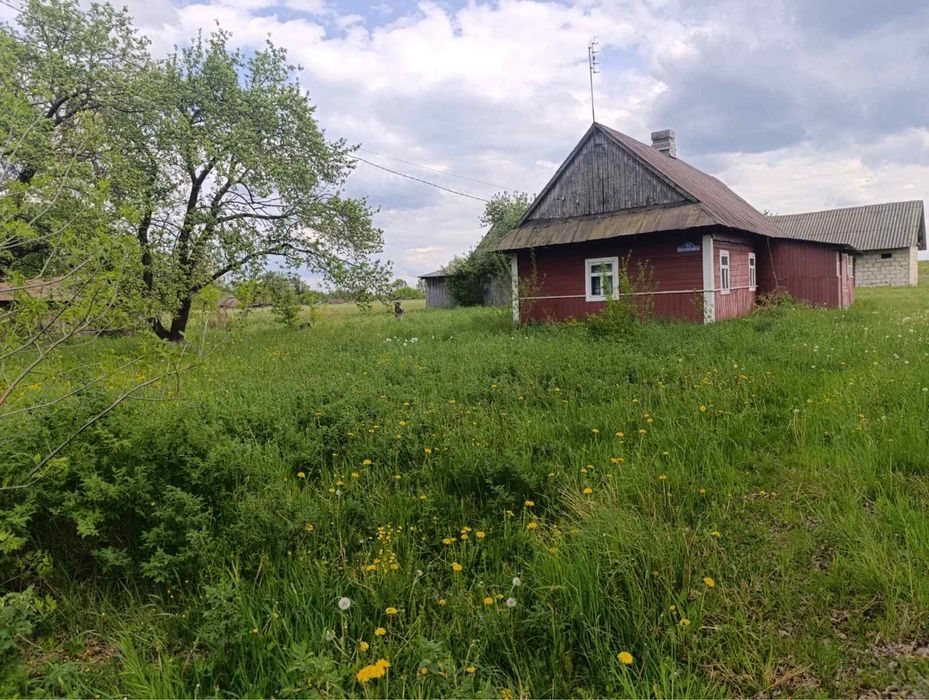 Земельна ділянка