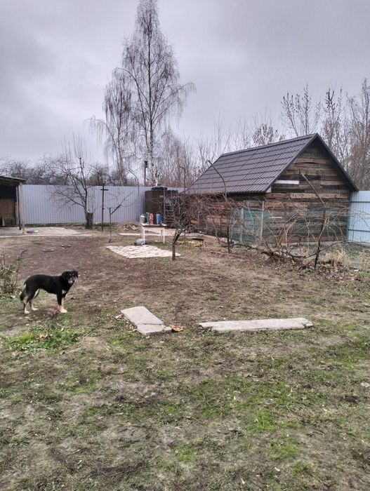 Продам дачу возле речки!!!