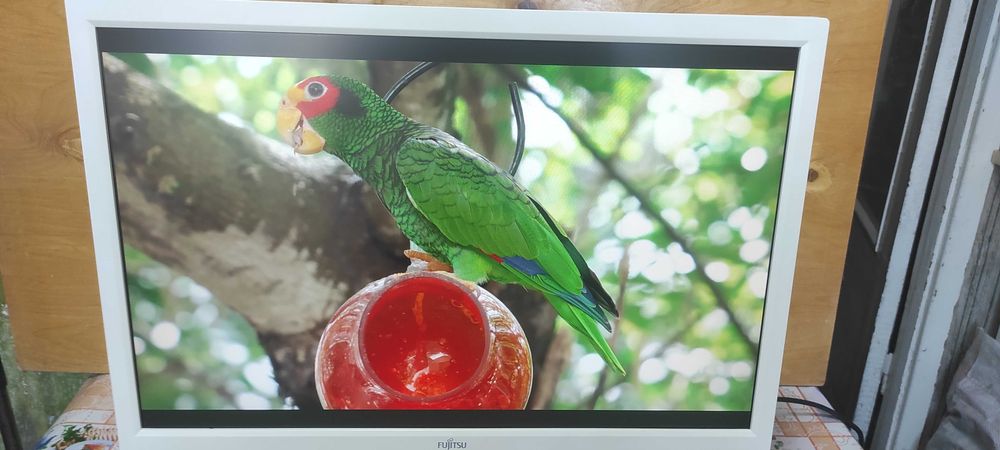 Монітор Fujitsu B22W-5 eco