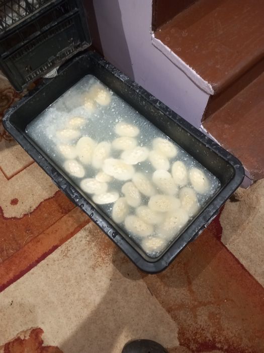 Zdrowe mleko od krowy i oszczypki