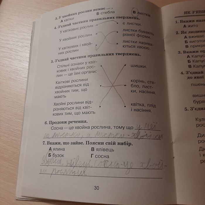 Тестові завдання з природознавства 3 клас