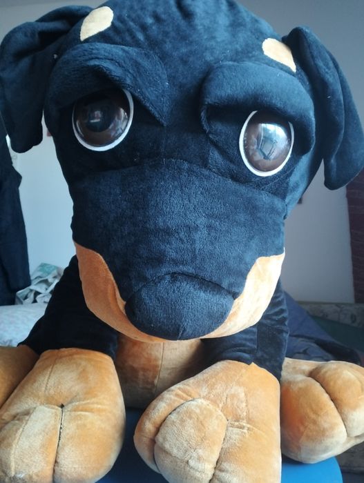 Cão de Peluche Grande