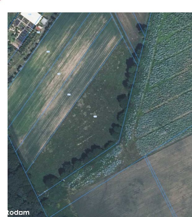 Duża działka w Zawadzie – blisko Opola, pod lasem - Widok 4