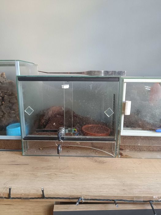 Sprzedam Terrarium z frontem przesuwnym