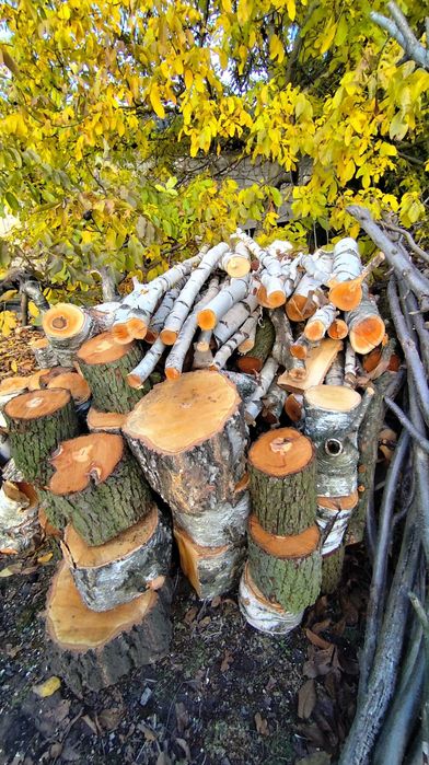 sprzedam drzewo na opał, drzewo opałowe