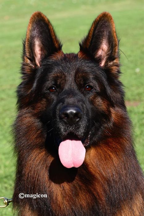 Щастя яке можна придбати