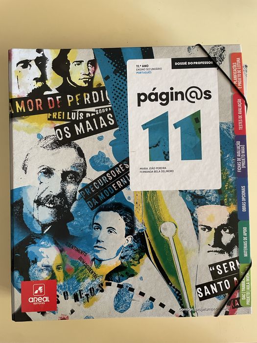 Professor: Páginas 11°