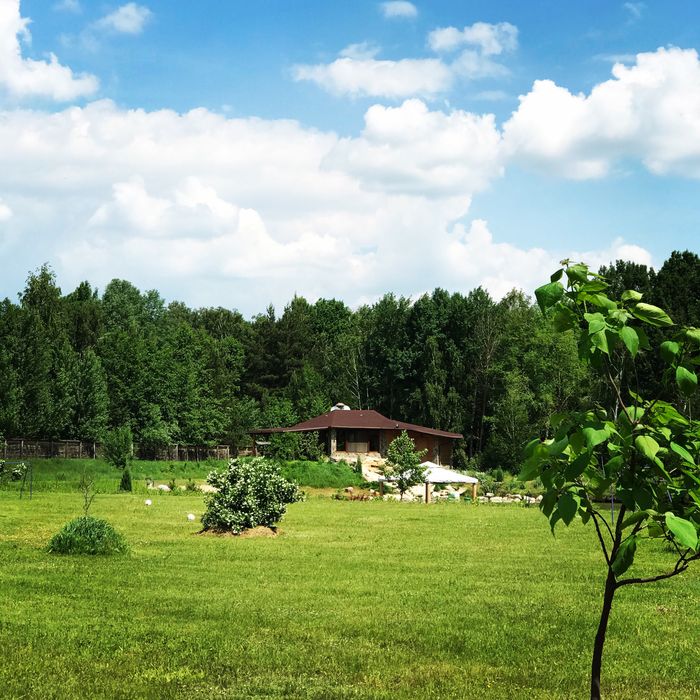 Дом в лесу на озере с камином под Киевом. Всегда есть свет и интернет.