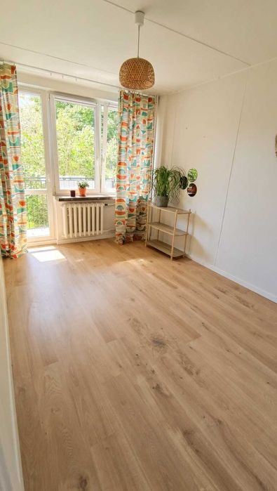 Do wynajęcia jasne 3- pokojowe mieszkanie I Bielany