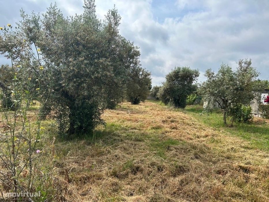 Terreno Urbano Venda Abrantes — Pego, Santarém