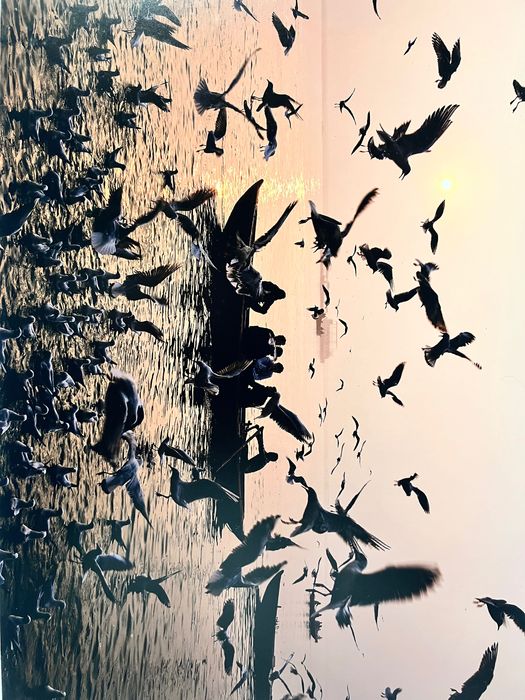 Fotografia emoldurada de Luís Godinho