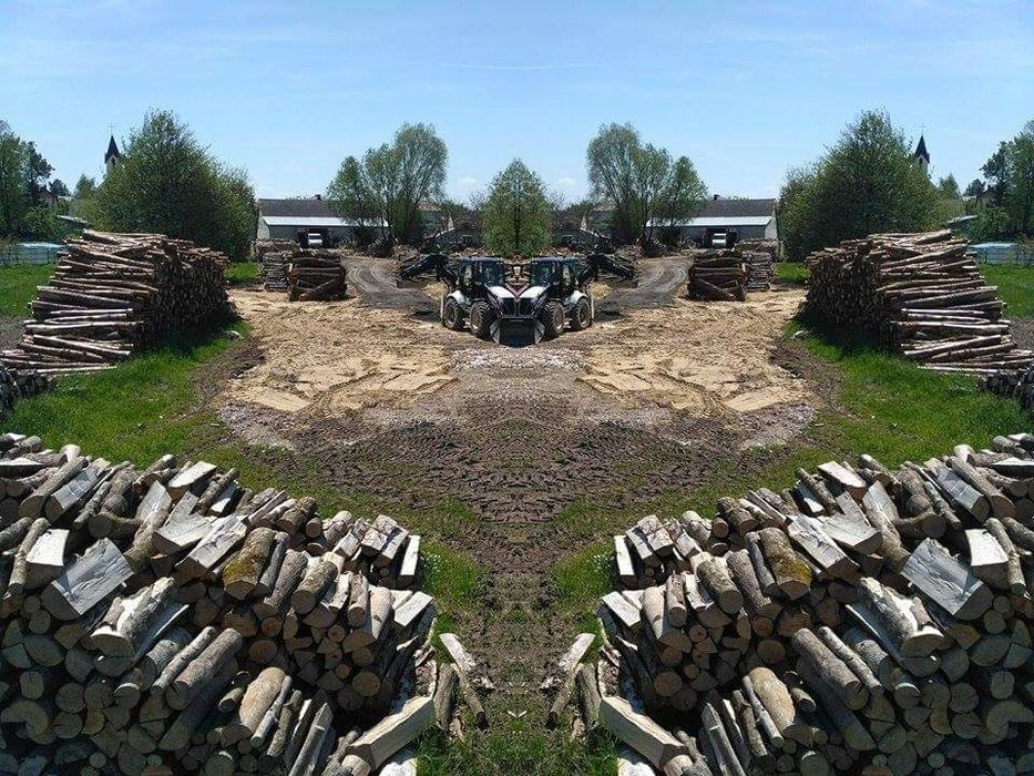 Drewno drzewo opał kominek suche (Tarnobrzeg Sokołów Sędziszów Dębica)