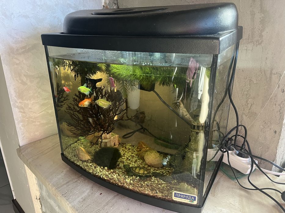 Продам акваріум природа