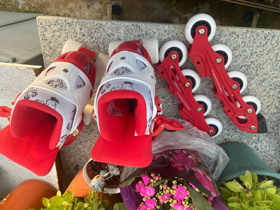 Patins de linha e de roda