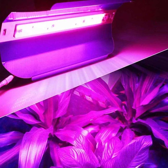 LED фітопрожектори для рослин