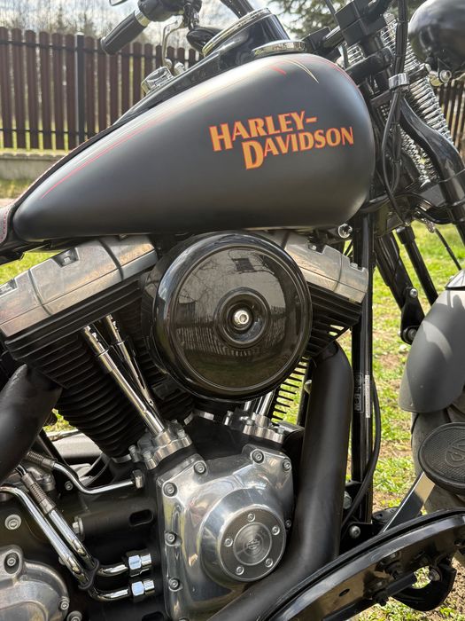 Harley Davidson Cross Bones