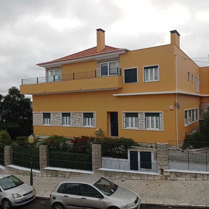 Souza Alves -pinturas LDA obras em geral