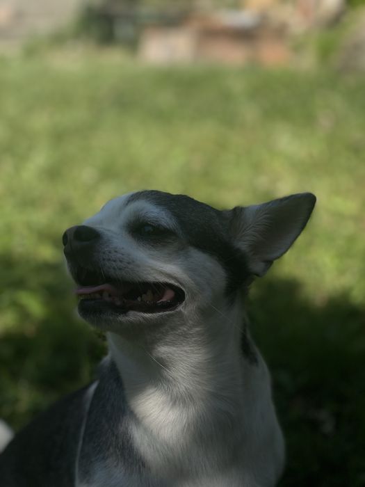Хлопчик шукає дівчинку