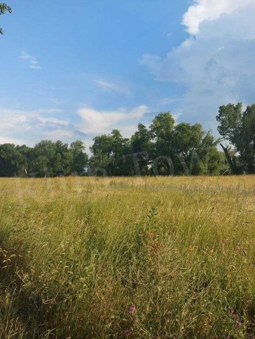 Продаж земельної ділянки у с. Студеники