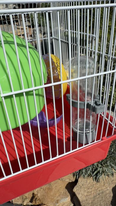 Клітка для гризунів