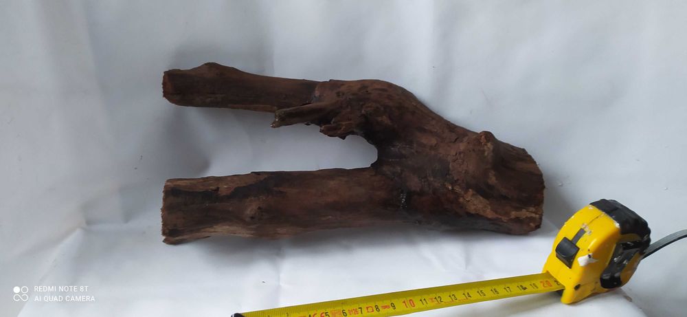 Korzeń naturalny  29x11cm