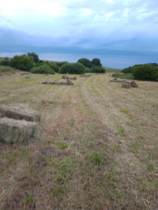 Продам сіно і солому в тюках