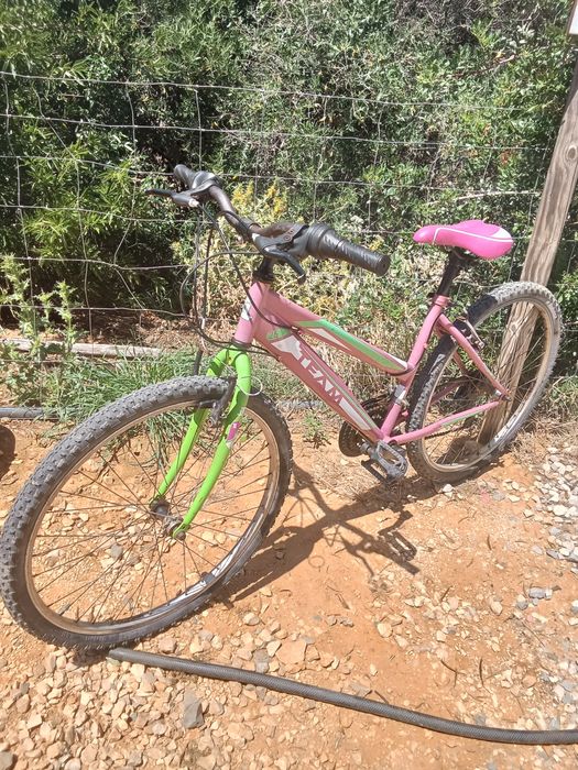Bicicleta passeio